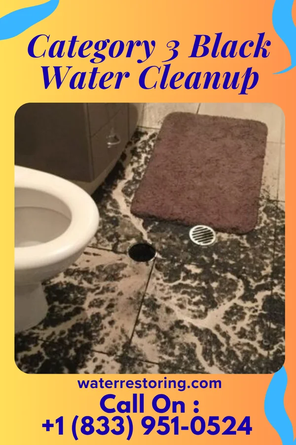 Category 3 Black Water Cleanup in Oaklyn, NJ