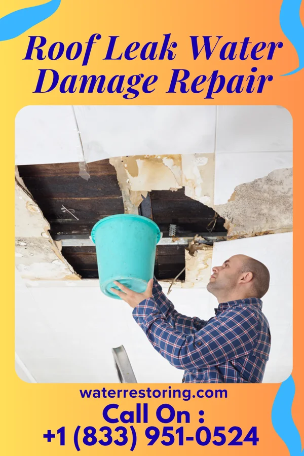 Roof Leak Water Damage Repair in Oaklyn, NJ