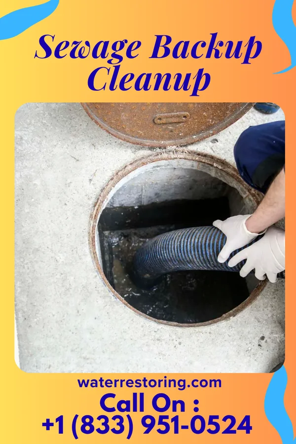 Sewage Backup Cleanup in Oaklyn, NJ